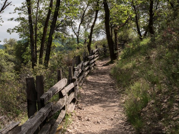 Woodland, CA
